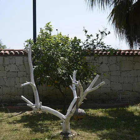 Hotel Tash Mekan